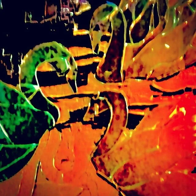 The 3 Swans of the Apocalypse will have to wait. It&rsquo;s way toooo cold and rainy to work outside. Instead, back to the soft mohair rescue project. Slippery Jack and Saffron Milk Caps for supper. #saffronmilkcaps #slipperyjacks #mohair #apocalypse