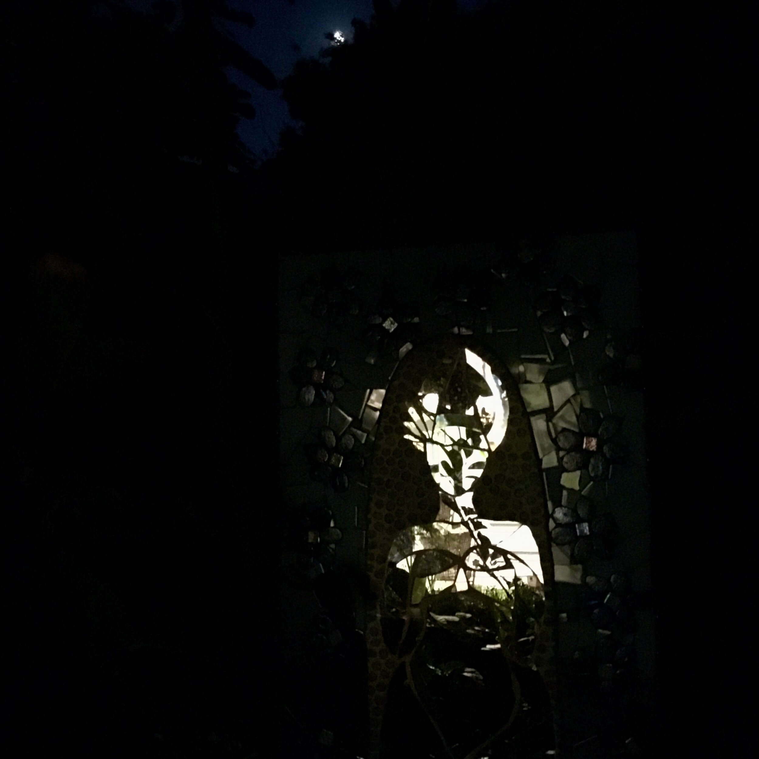 night virgin 1.jpeg