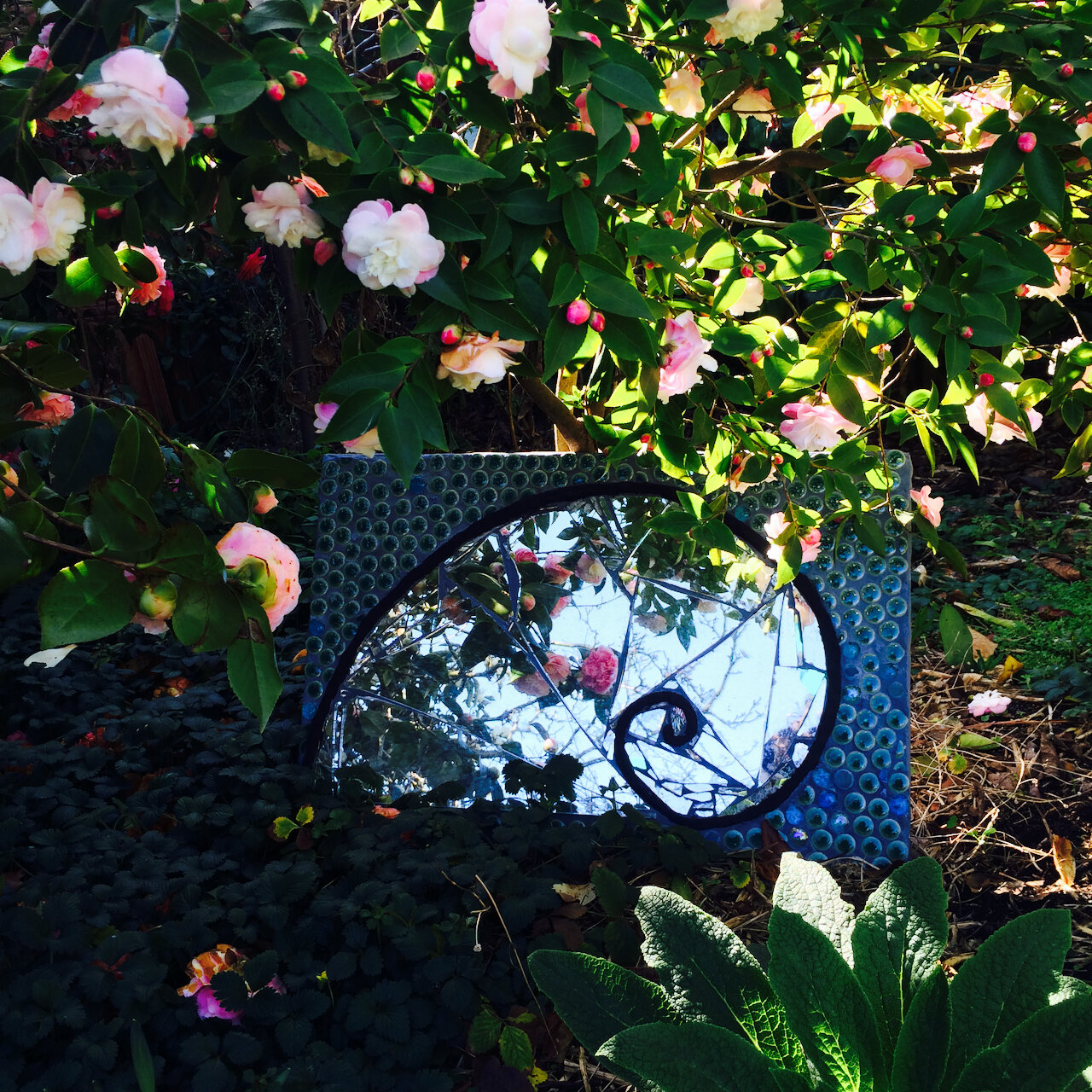 fibonacci and camelias.jpeg