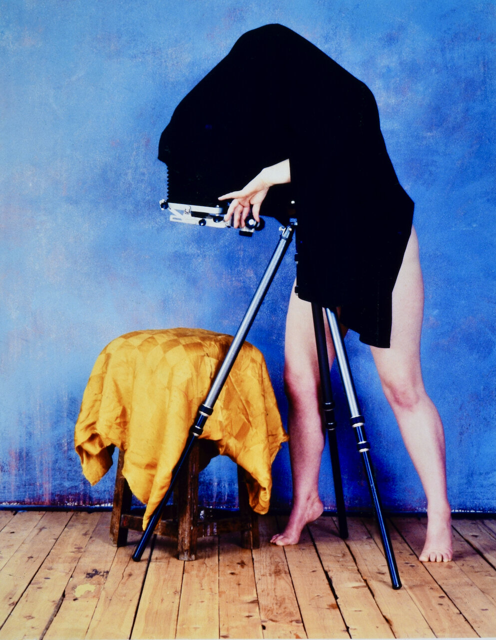 Images from the series Permission to Look