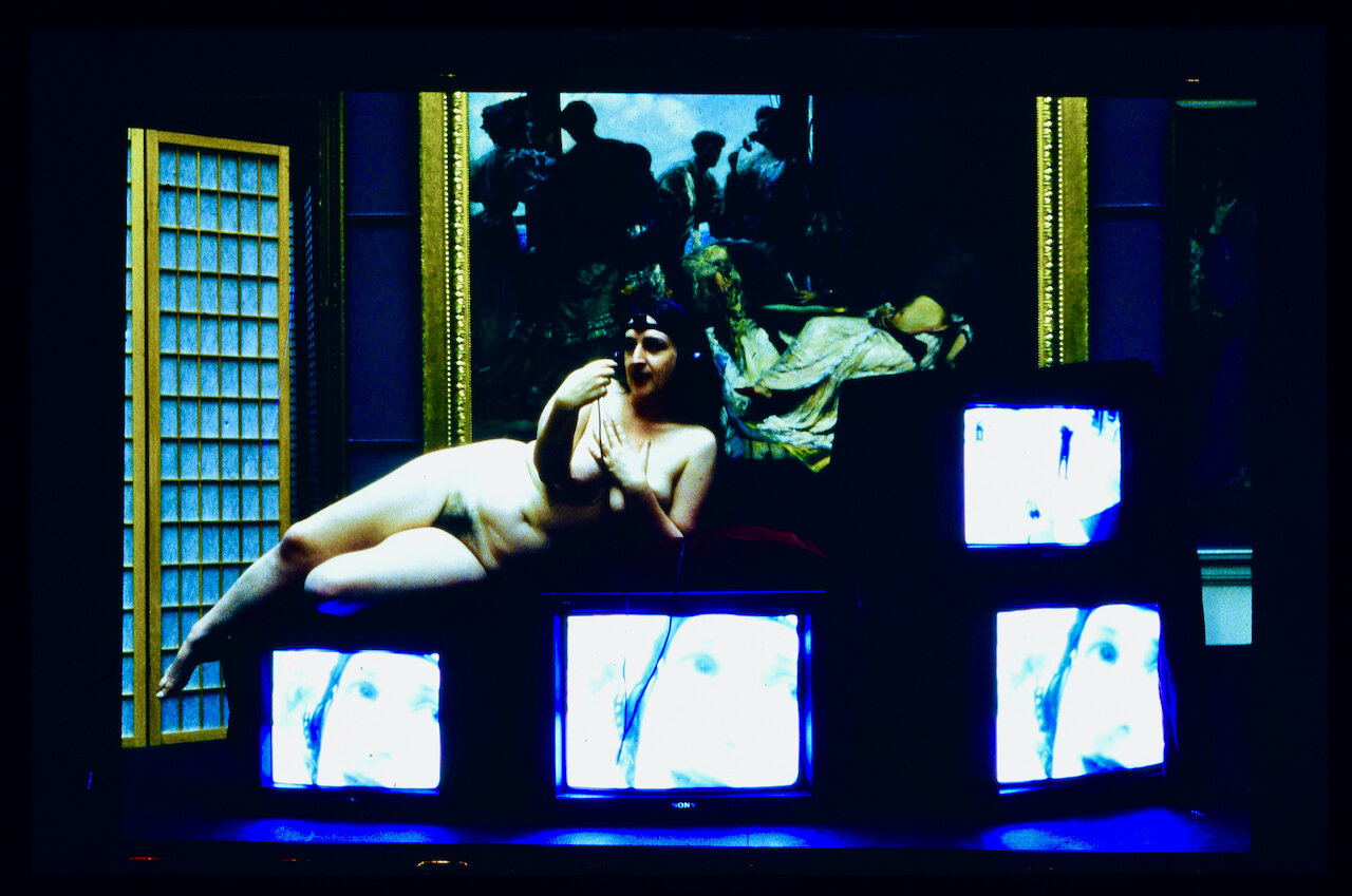 Permission to Look, AGNSW, 1996