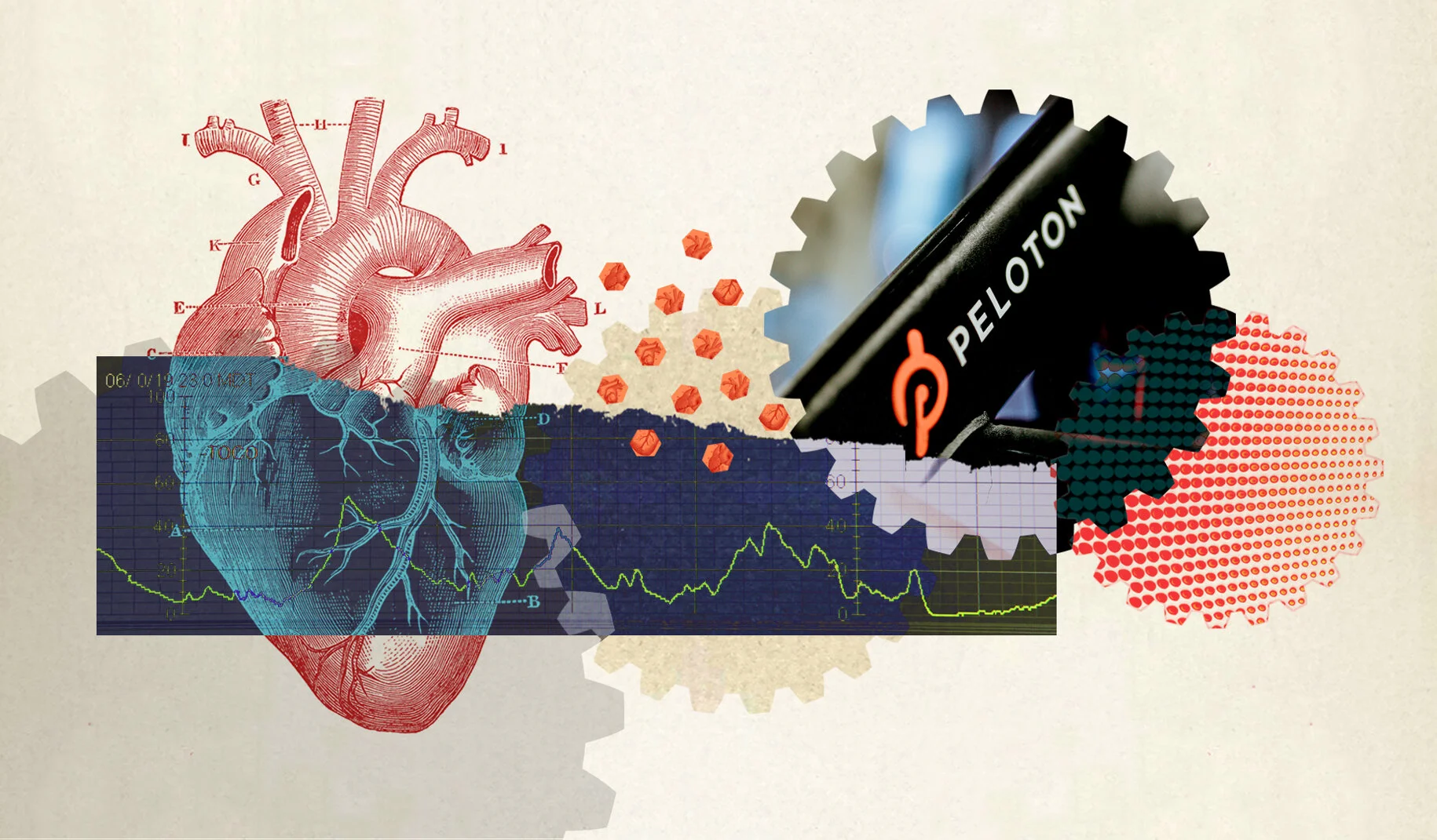 WDTIKAM_Peloton.jpg