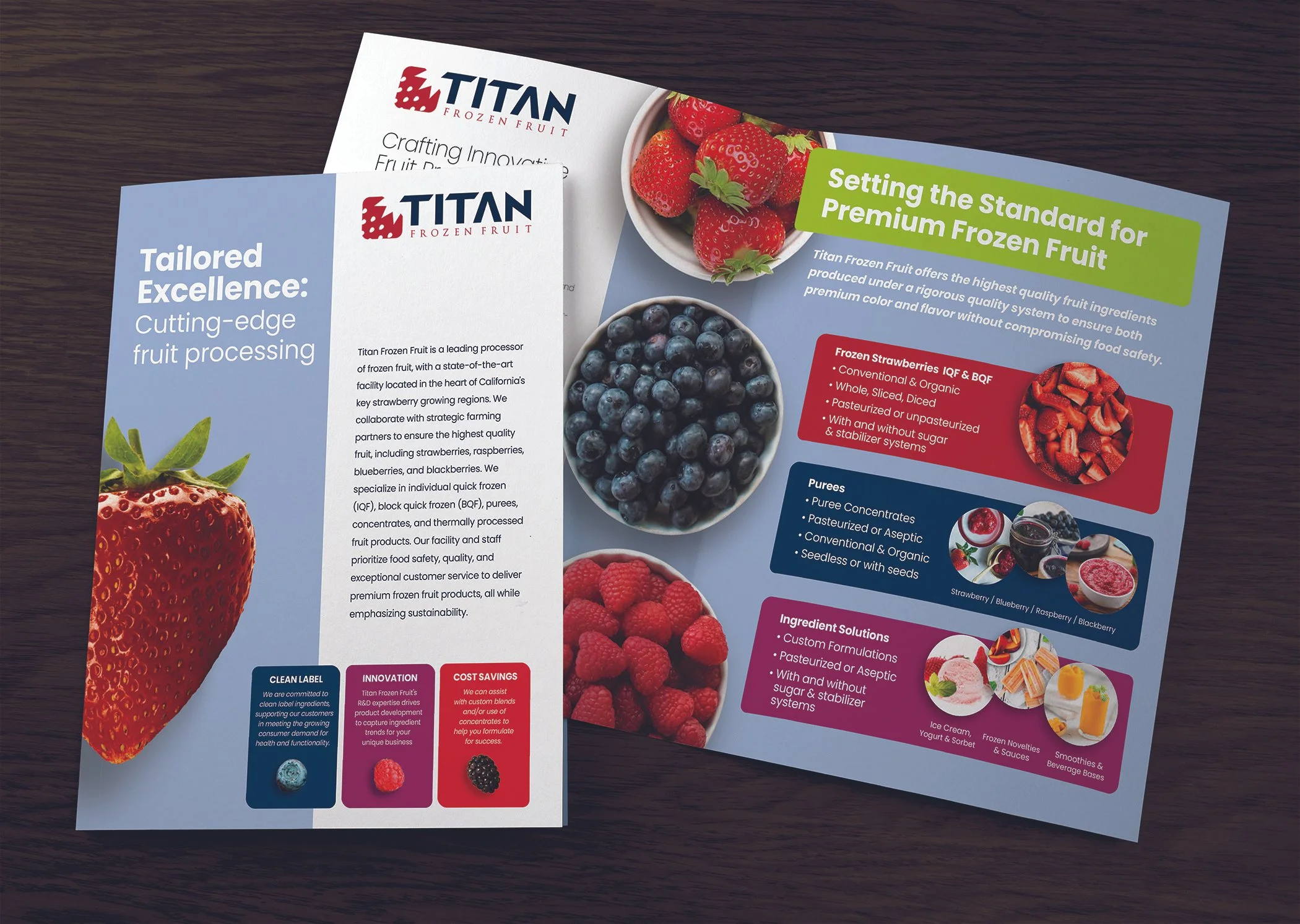 Titan brochure for portfolio.jpg
