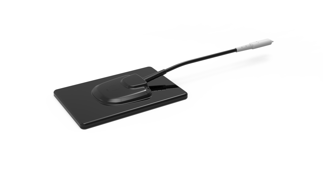 Equine Digital Dental XRay with Acquisition Software