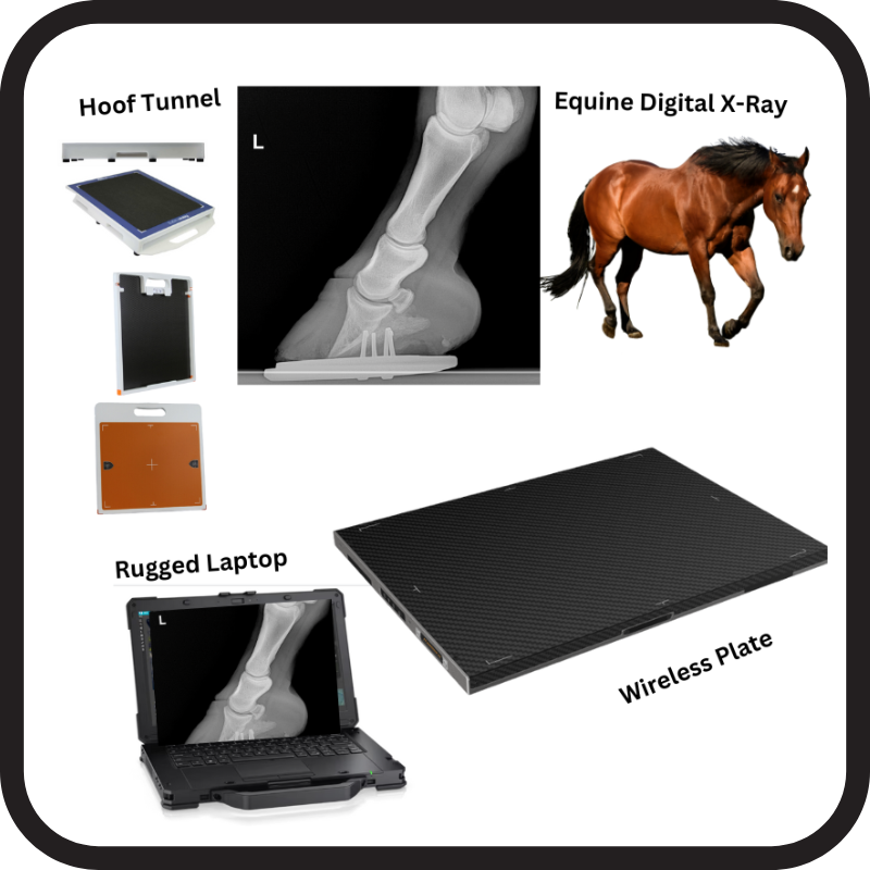 New Vet Equipment /Veterinary XRay and Ultrasound Equipment