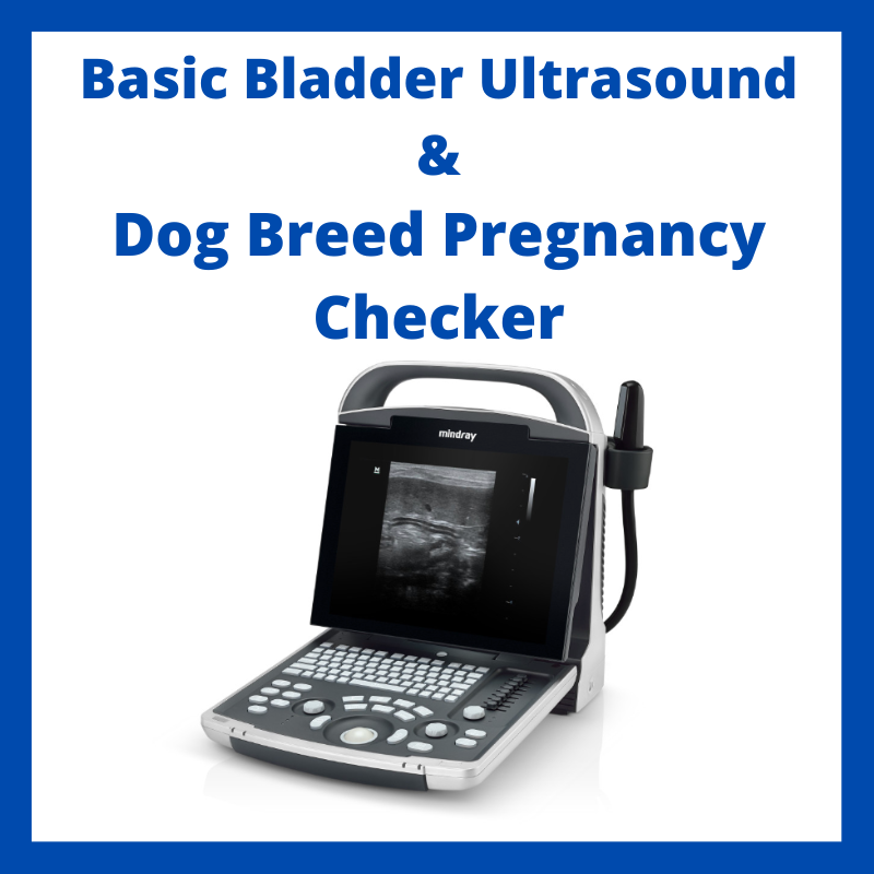 Basic Bladder Scanner By Mindray.png