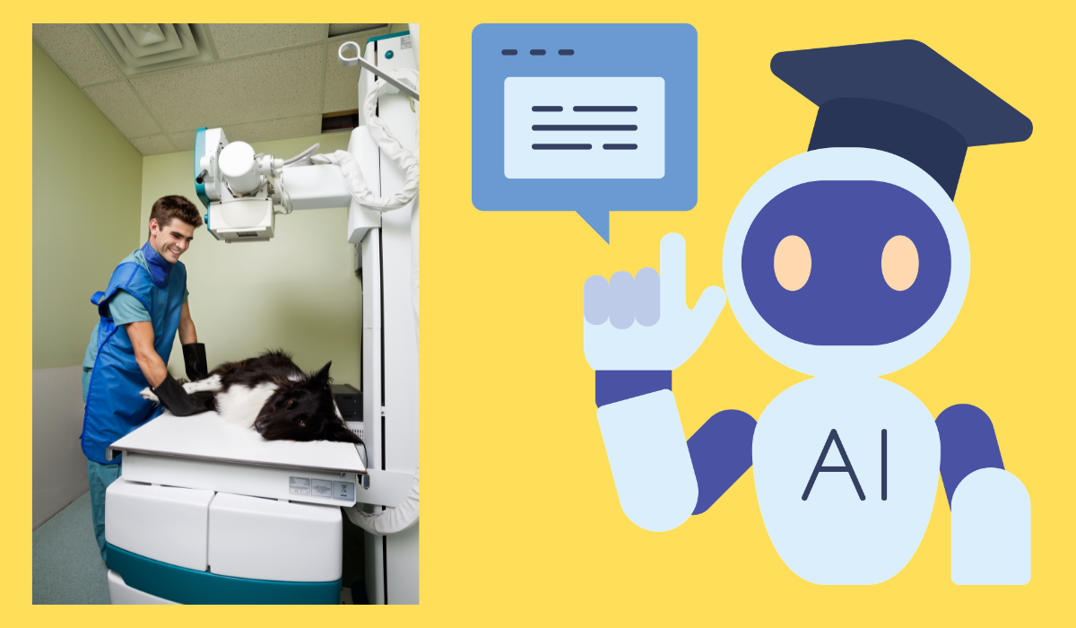 Stop the Blur: Using Gemini AI to Master Large-Dog Radiographs