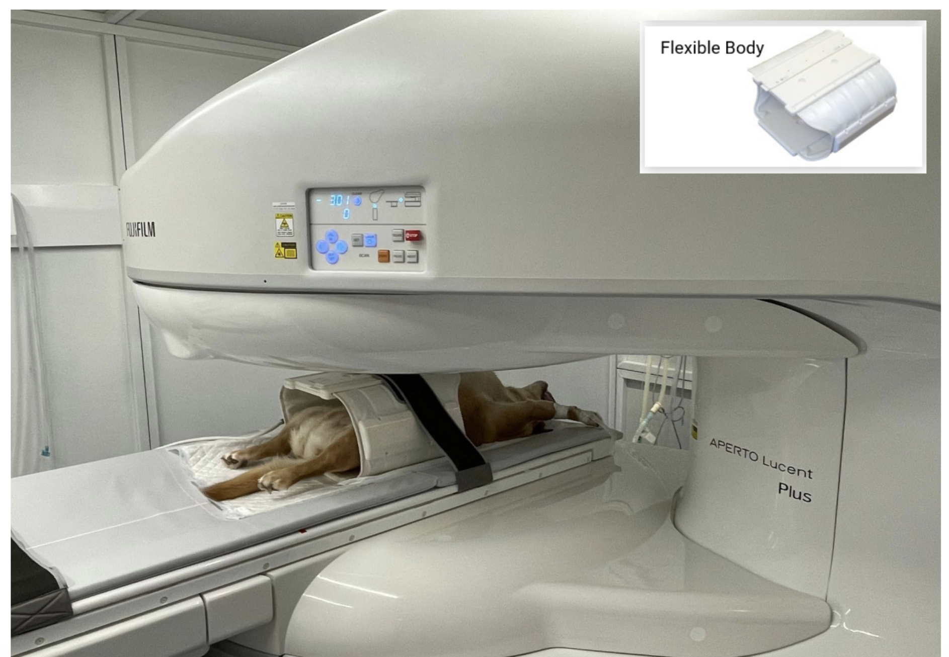 Is MRI Worth It for Your Practice? A Real-World Discussion