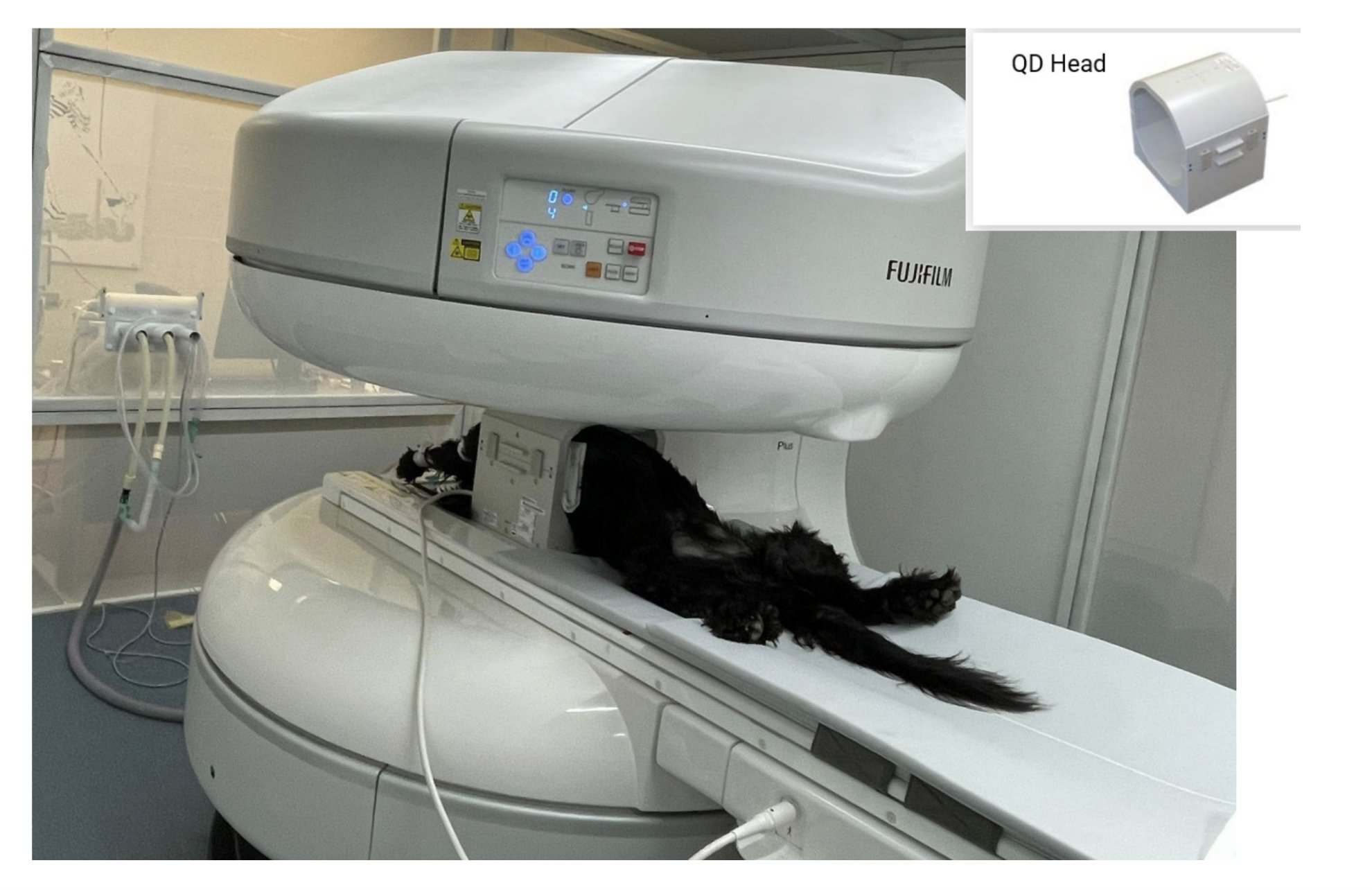 How MRI Improves Client Trust and Case Acceptance
