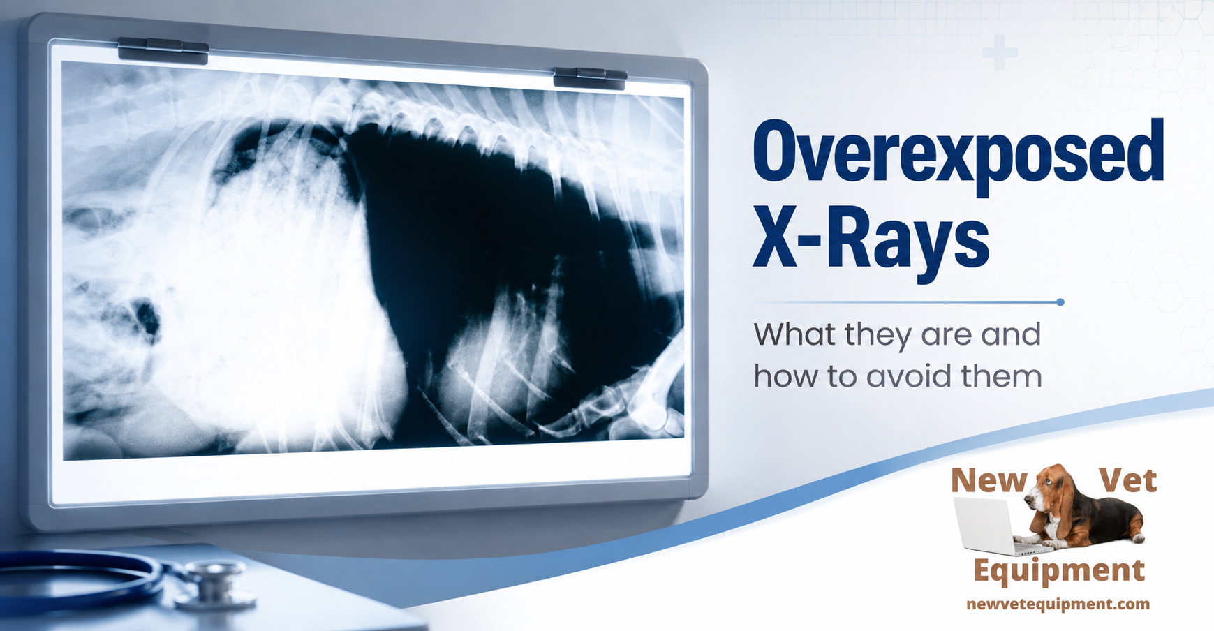 What Is an Overexposed X-Ray—and How Can Veterinary Clinics Prevent It?