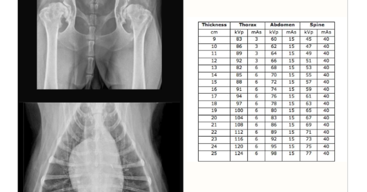Recover Veterinary Rythym Chart How to use a Veterinary X-Ray Technique chart for x-ray