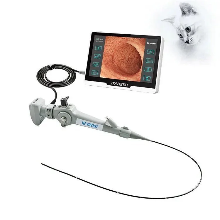 Endoscope For Small Cats and Dogs