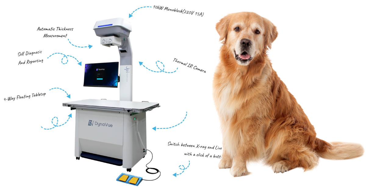 Veterinary Digital DR X-Ray DirectVet System<br/>