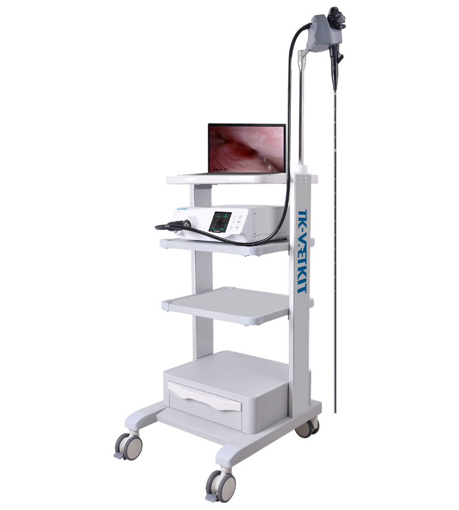 Gendoscope Endoscope Tool Kit at Joel Morton blog