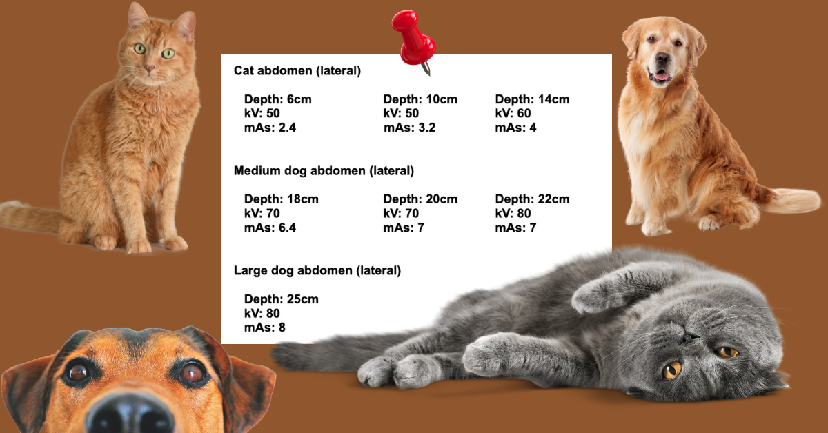 Xray Settings in Veterinary Radiography