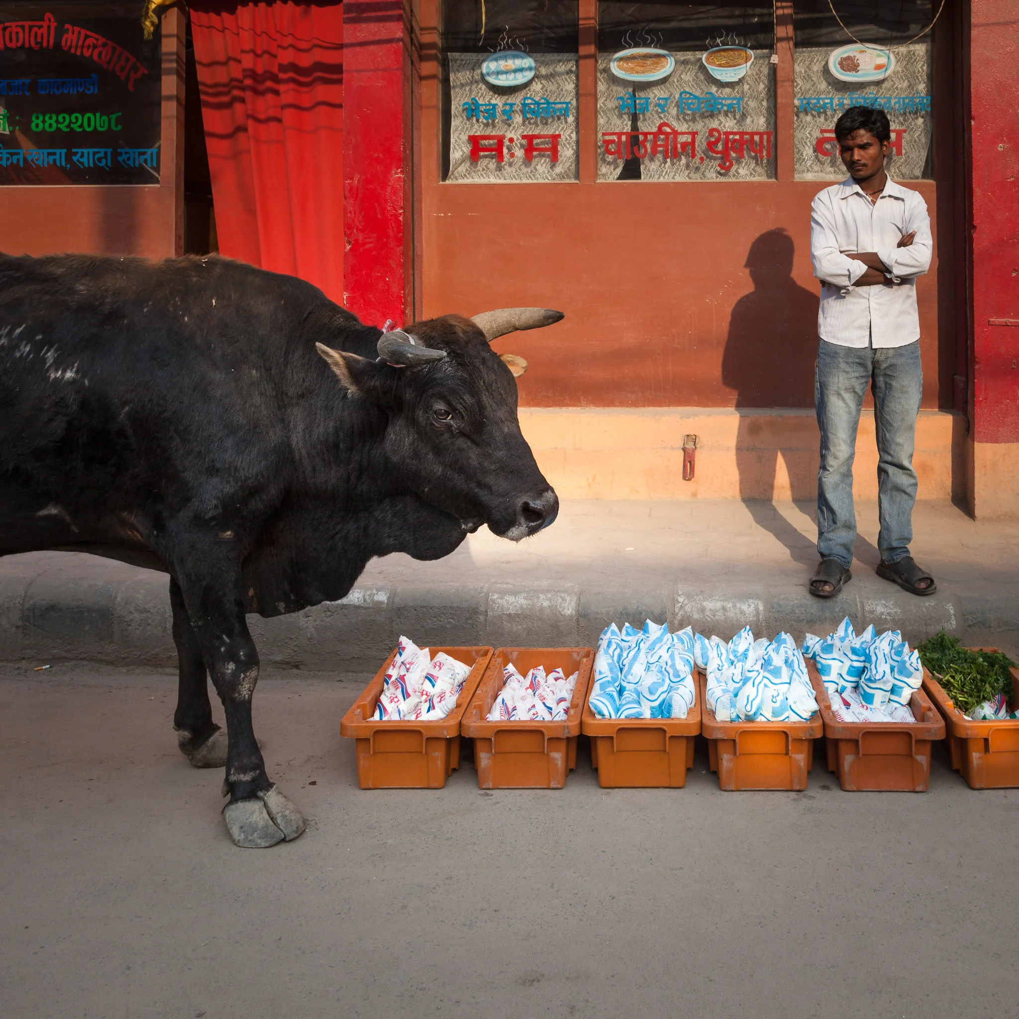 20140424_kathmandu_0114.jpg