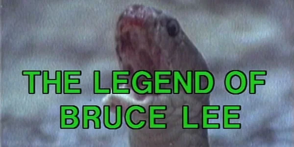 bruce_title.jpg