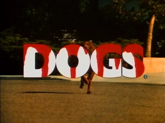 dogs1976dvdr.jpg