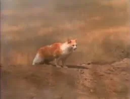 images.jpg