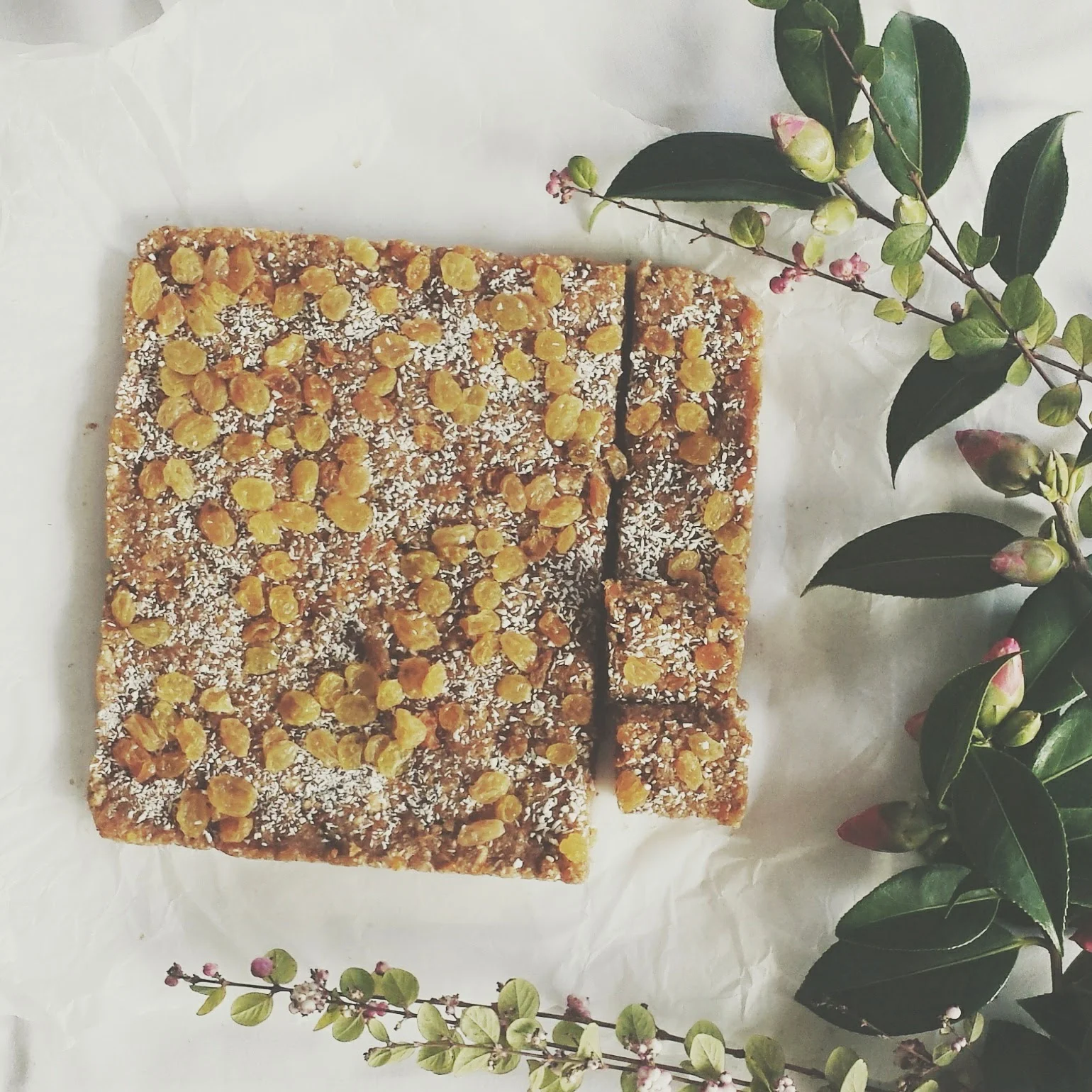 Orange Blossom Fruit Bars