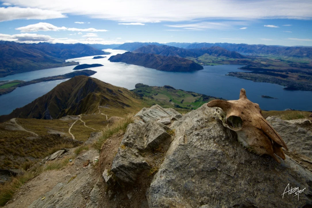 New Zealand / 2016Amazing trip to New Zealand - North and South Island.