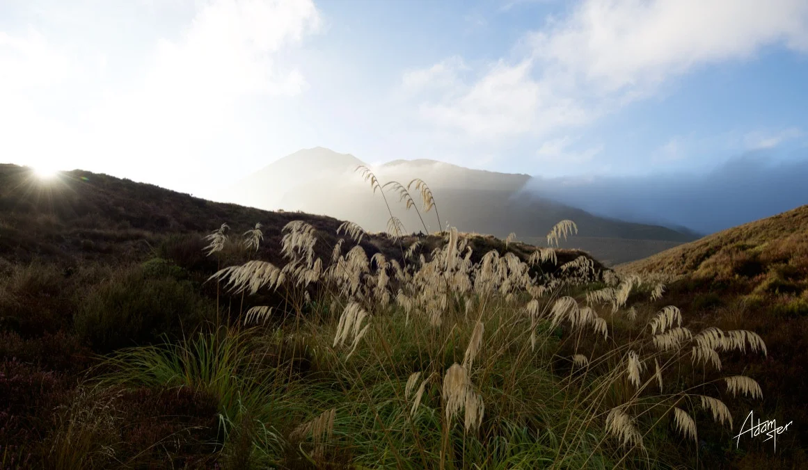 Normal
0




false
false
false

EN-GB
JA
X-NONE

 
 
 
 
 
 
 
 
 
 


 
 
 
 
 
 
 
 
 
 
 


 <w:LatentStyles DefLockedState="false" DefUnhideWhenUsed="true"
DefSemiHidden="true" DefQFormat="false" DefPriority="99"
LatentStyleCount="276">…