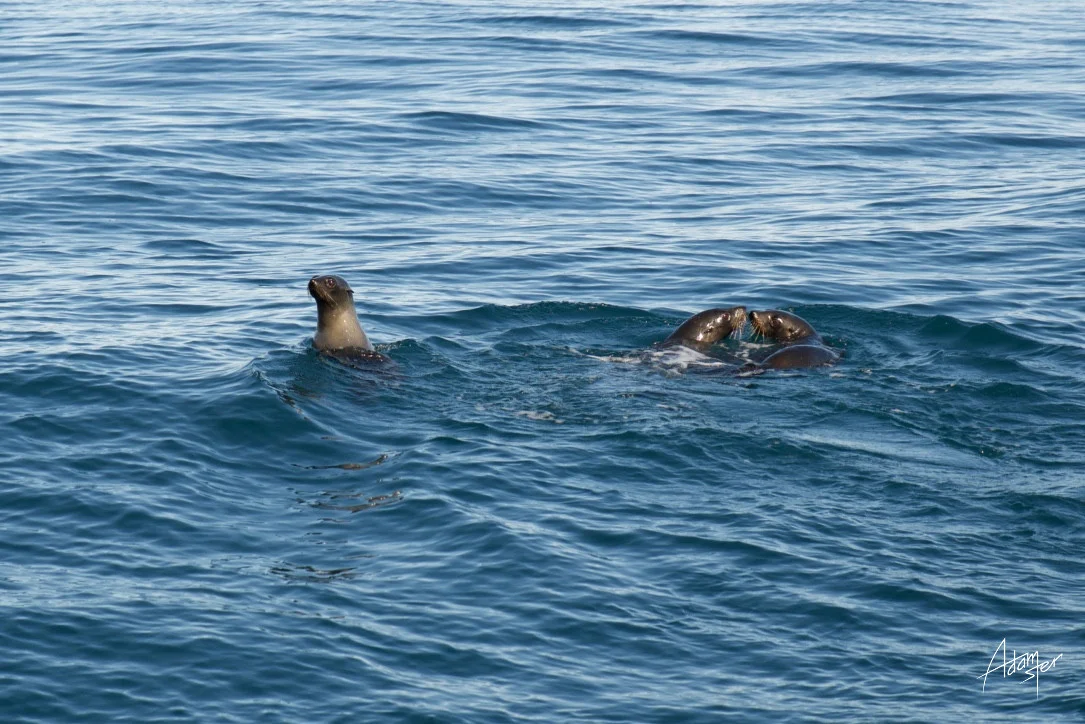 Normal
0




false
false
false

EN-GB
JA
X-NONE

 
 
 
 
 
 
 
 
 
 


 
 
 
 
 
 
 
 
 
 
 


 <w:LatentStyles DefLockedState="false" DefUnhideWhenUsed="true"
DefSemiHidden="true" DefQFormat="false" DefPriority="99"
LatentStyleCount="276">…