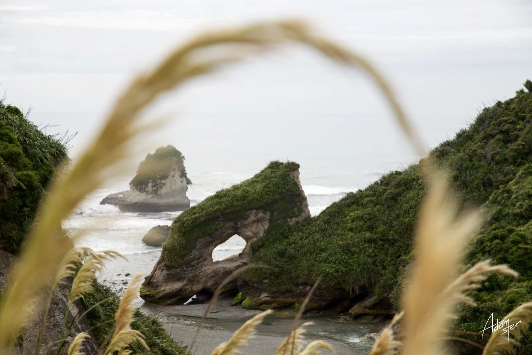 West Coast Rd -&nbsp;Ten Mile Creek &nbsp;/ &nbsp;South Island&nbsp;