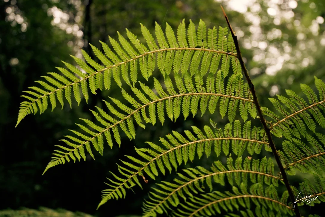 Normal
0




false
false
false

EN-GB
JA
X-NONE

 
 
 
 
 
 
 
 
 
 


 
 
 
 
 
 
 
 
 
 
 


 <w:LatentStyles DefLockedState="false" DefUnhideWhenUsed="true"
DefSemiHidden="true" DefQFormat="false" DefPriority="99"
LatentStyleCount="276">…