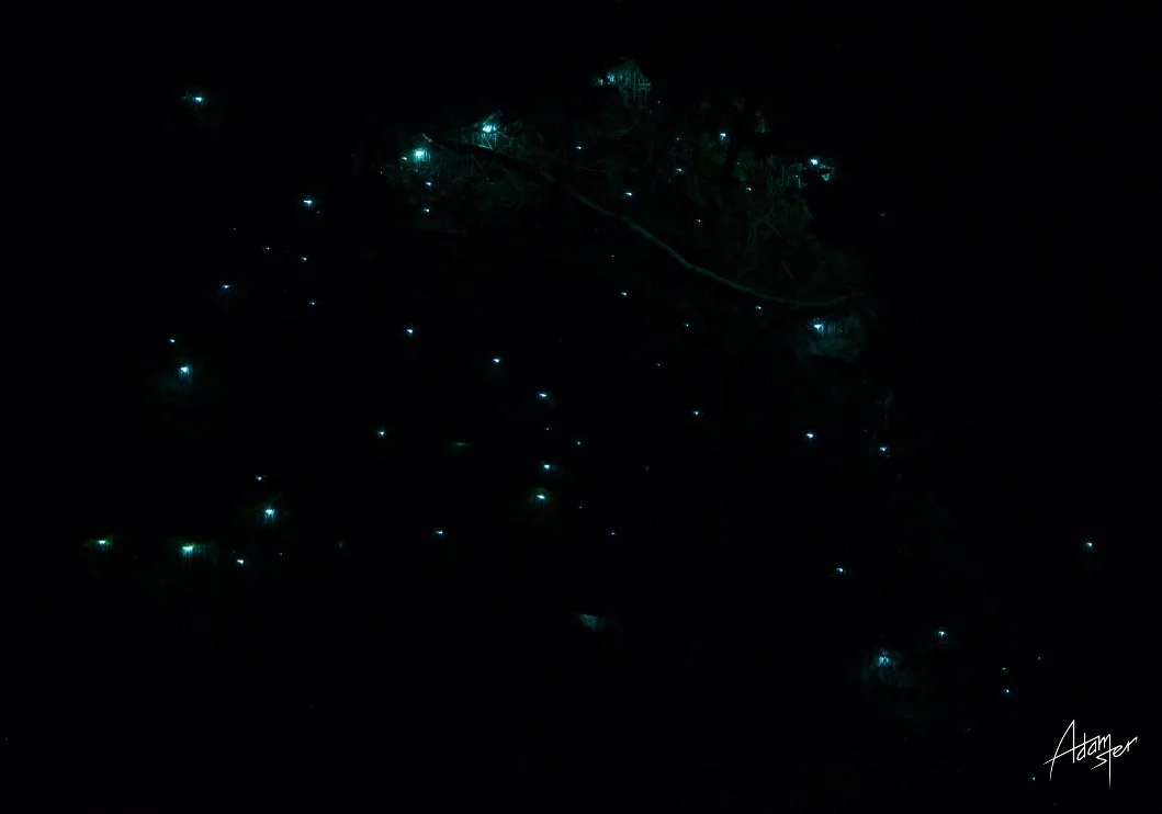 Normal
0




false
false
false

EN-GB
JA
X-NONE

 
 
 
 
 
 
 
 
 
 


 
 
 
 
 
 
 
 
 
 
 


 <w:LatentStyles DefLockedState="false" DefUnhideWhenUsed="true"
DefSemiHidden="true" DefQFormat="false" DefPriority="99"
LatentStyleCount="276">…