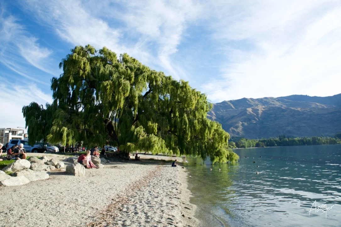 Wanaka &nbsp;/ &nbsp;South Island