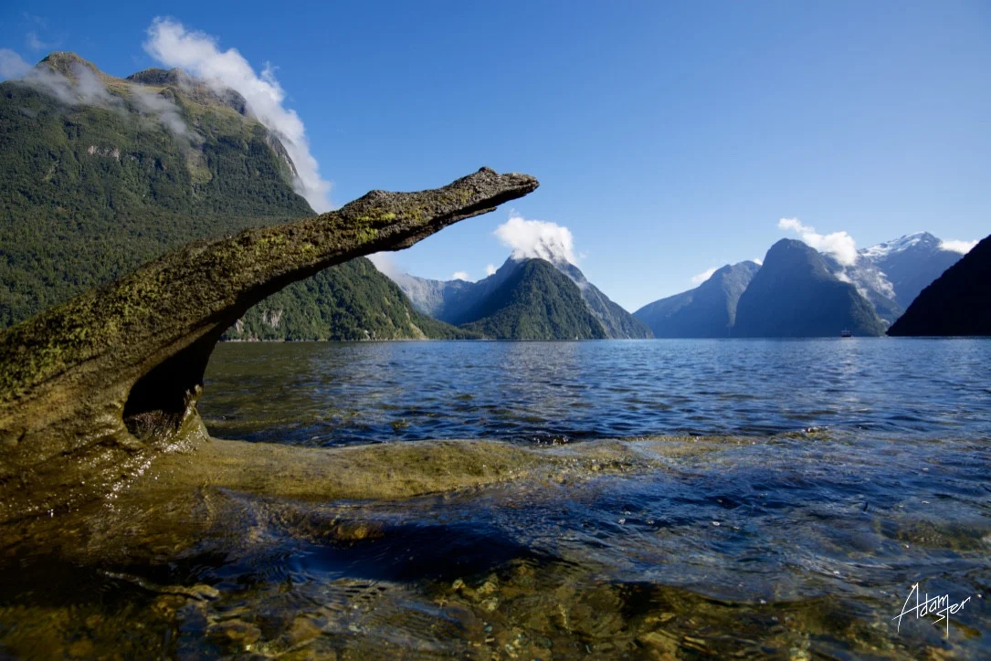 Milford Sound &nbsp;/ &nbsp;South Island