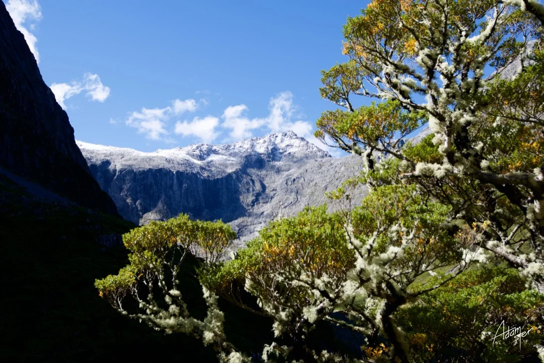 Normal
0




false
false
false

EN-GB
JA
X-NONE

 
 
 
 
 
 
 
 
 
 


 
 
 
 
 
 
 
 
 
 
 


 <w:LatentStyles DefLockedState="false" DefUnhideWhenUsed="true"
DefSemiHidden="true" DefQFormat="false" DefPriority="99"
LatentStyleCount="276">…