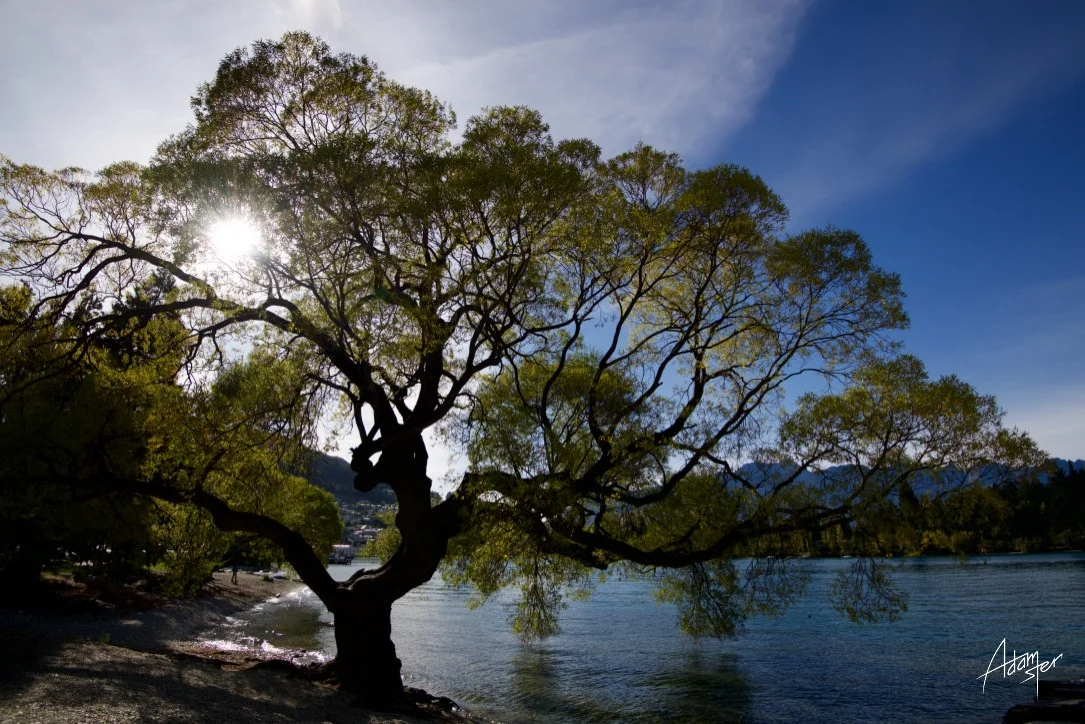 Queenstown&nbsp; / &nbsp;South Island