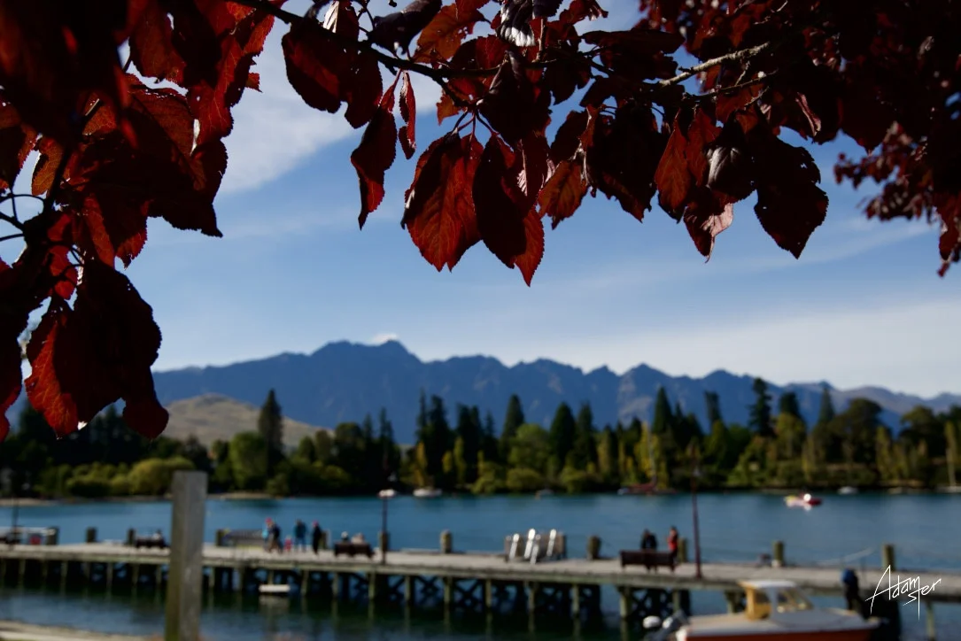 Queenstown&nbsp; / &nbsp;South Island