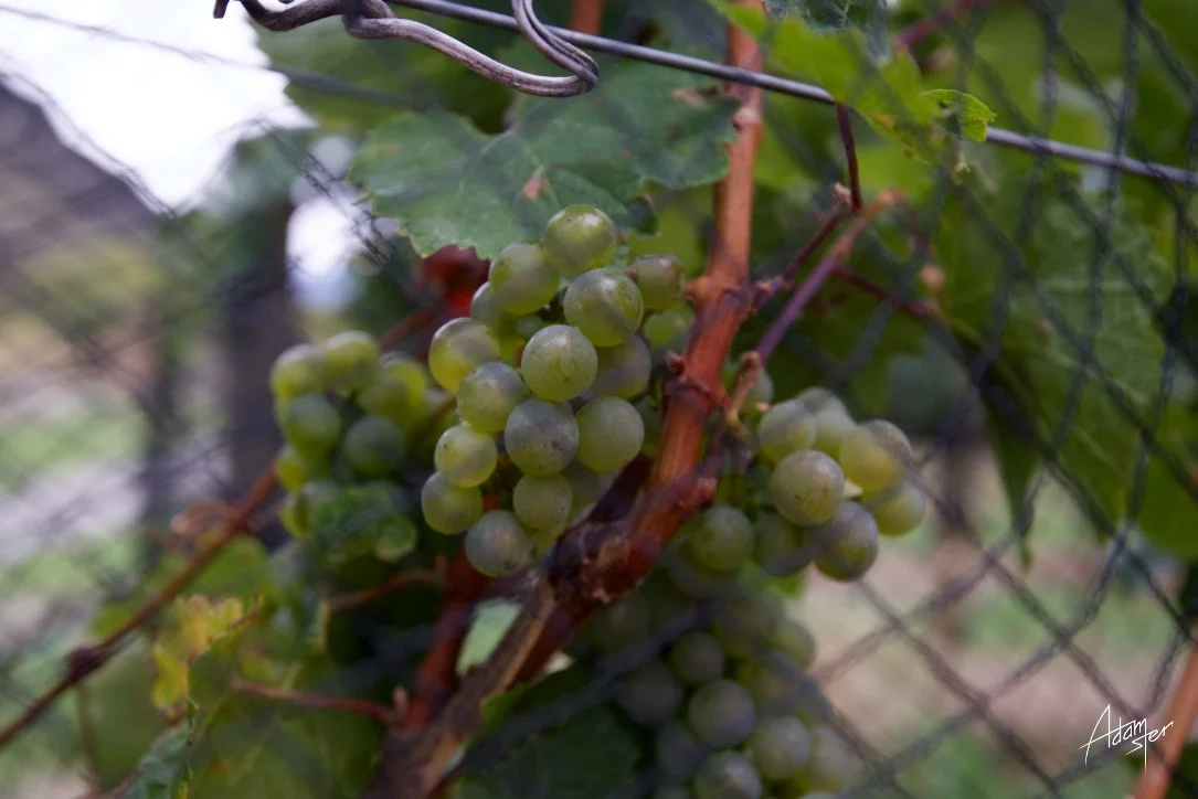 Normal
0




false
false
false

EN-GB
JA
X-NONE

 
 
 
 
 
 
 
 
 
 


 
 
 
 
 
 
 
 
 
 
 


 <w:LatentStyles DefLockedState="false" DefUnhideWhenUsed="true"
DefSemiHidden="true" DefQFormat="false" DefPriority="99"
LatentStyleCount="276">…