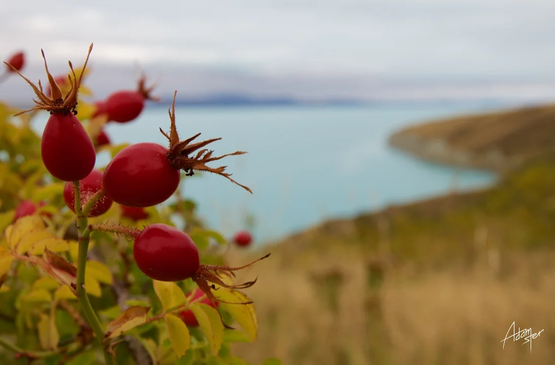 Normal
0




false
false
false

EN-GB
JA
X-NONE

 
 
 
 
 
 
 
 
 
 


 
 
 
 
 
 
 
 
 
 
 


 <w:LatentStyles DefLockedState="false" DefUnhideWhenUsed="true"
DefSemiHidden="true" DefQFormat="false" DefPriority="99"
LatentStyleCount="276">…