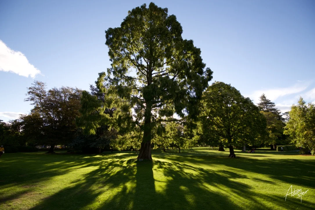 Normal
0




false
false
false

EN-GB
JA
X-NONE

 
 
 
 
 
 
 
 
 
 


 
 
 
 
 
 
 
 
 
 
 


 <w:LatentStyles DefLockedState="false" DefUnhideWhenUsed="true"
DefSemiHidden="true" DefQFormat="false" DefPriority="99"
LatentStyleCount="276">…