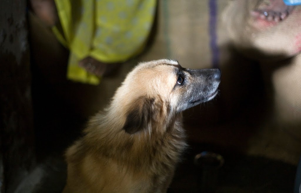 india047.jpg