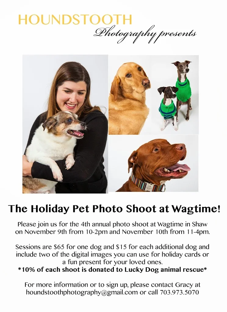holidaywagtimepromo.jpg