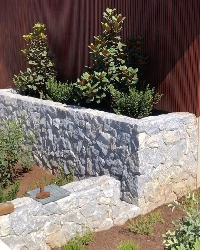 Complete Plant supply by ePlants for the Chairman of Cowboys Football Club.
Very gratifying to see our quality range of plants be implemented in to the landscape of such an amazing build.
Great assortment of both native & exotic ground covers,