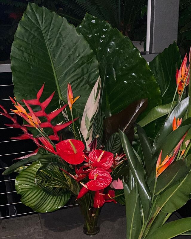 Happy Mother&rsquo;s Day 
Tropical &amp; exotic selection, hand picked from our beloved, private gardens. 
All plants available for purchase.