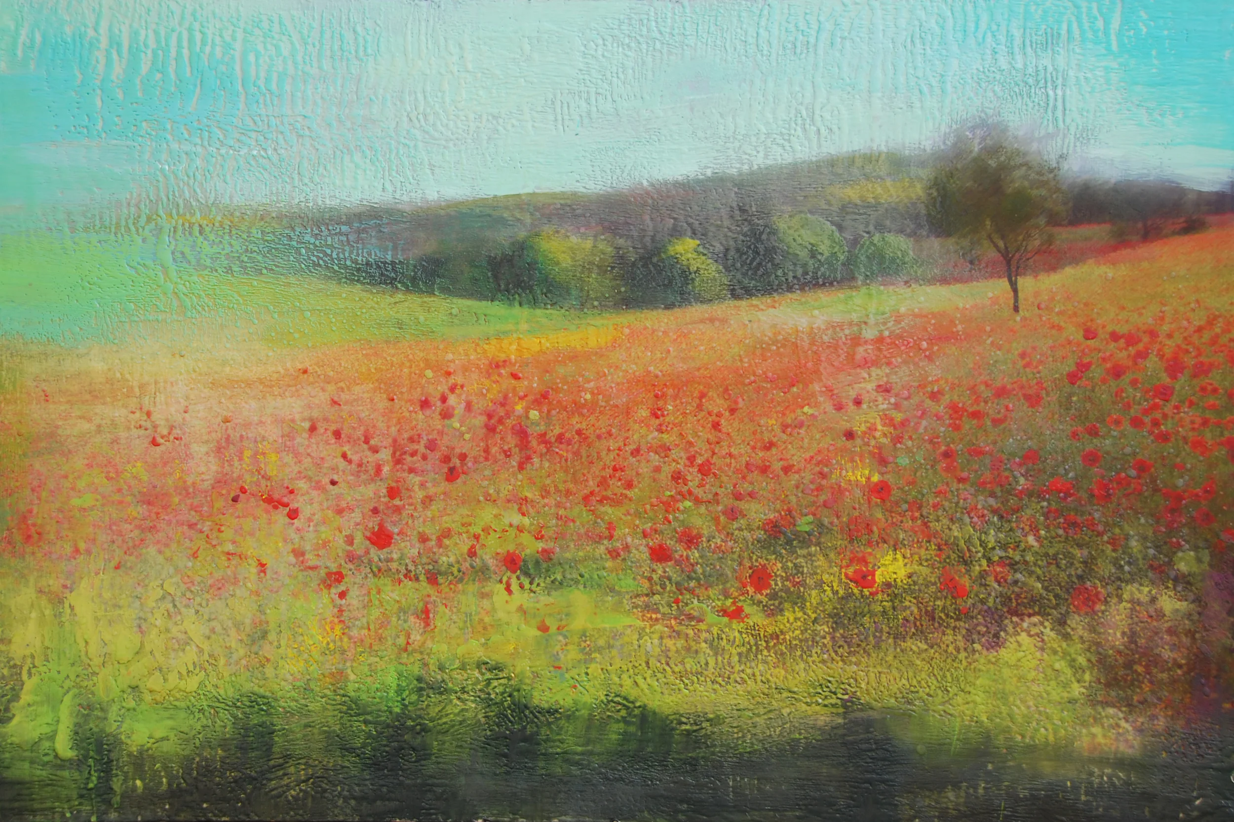 Poppy Fields