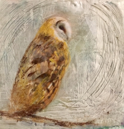 Barn Owl