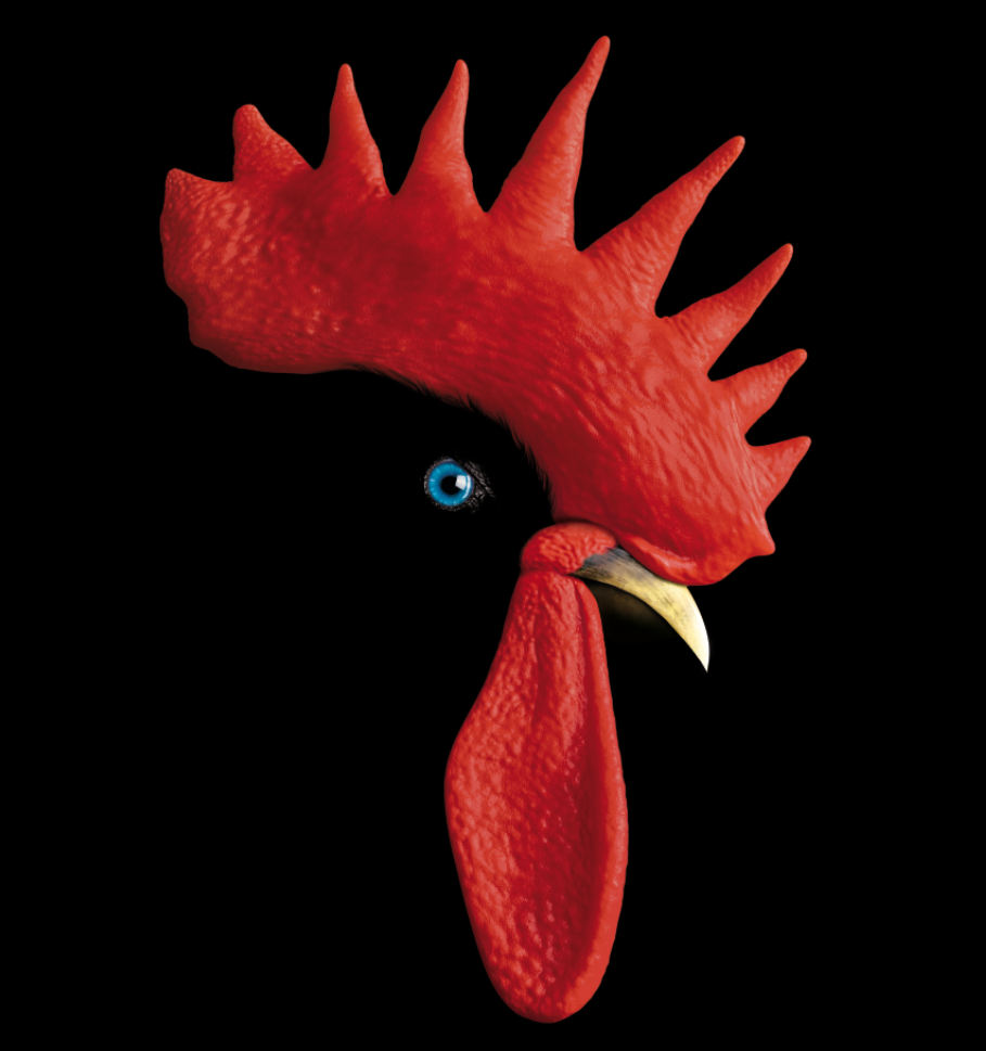 Rooster Brewery