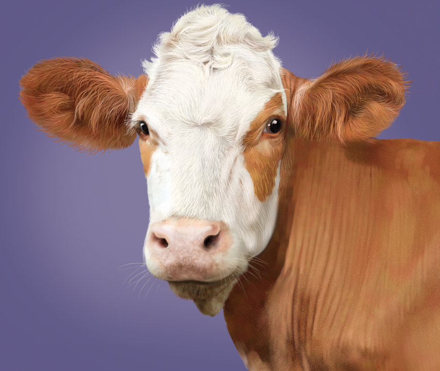 Milka