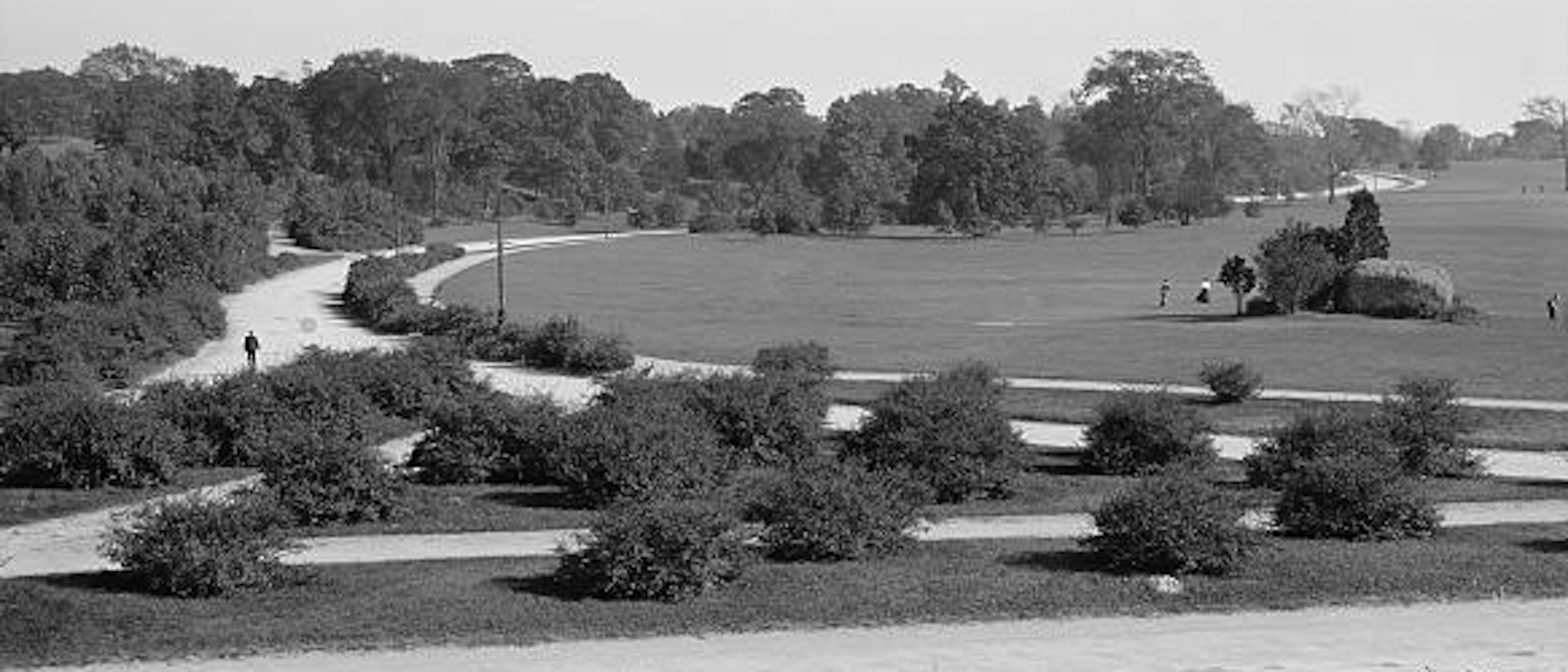 Golf was played in many of Frederick Law Olmsted's parks like Franklin Park in Boston