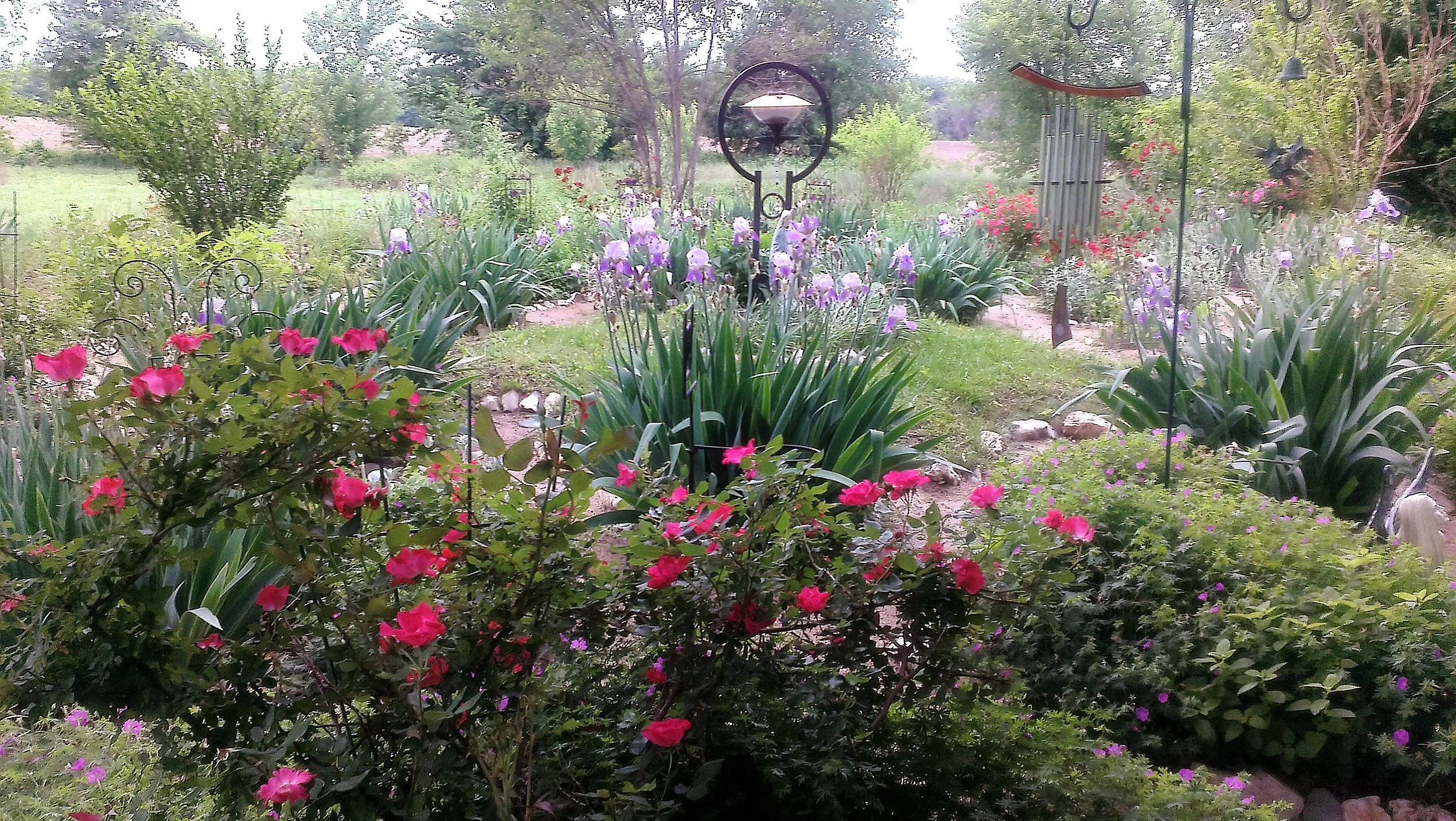 Chante Ishta — Sagebrush Exchange