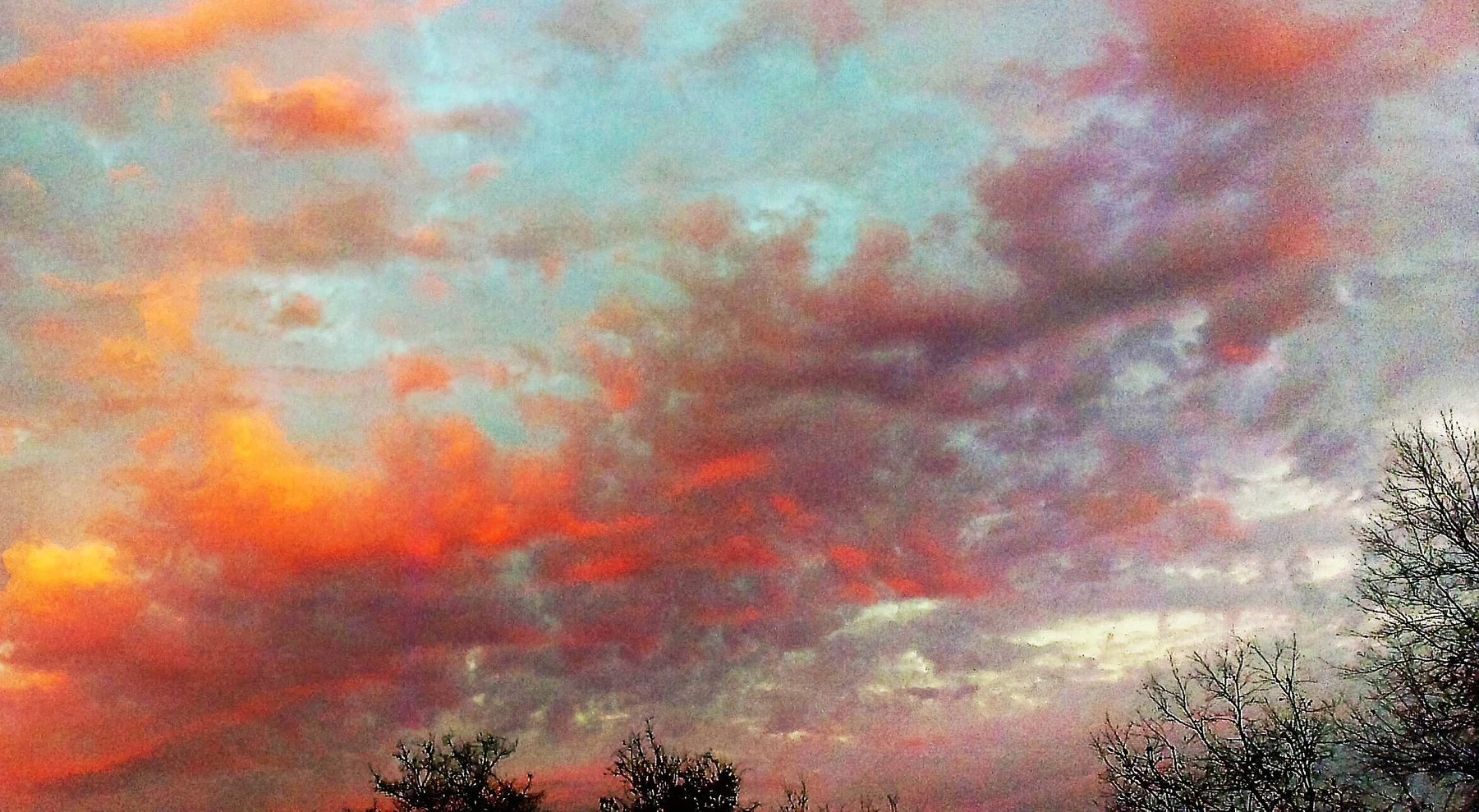 Icy trees in Sky_NEW.jpg