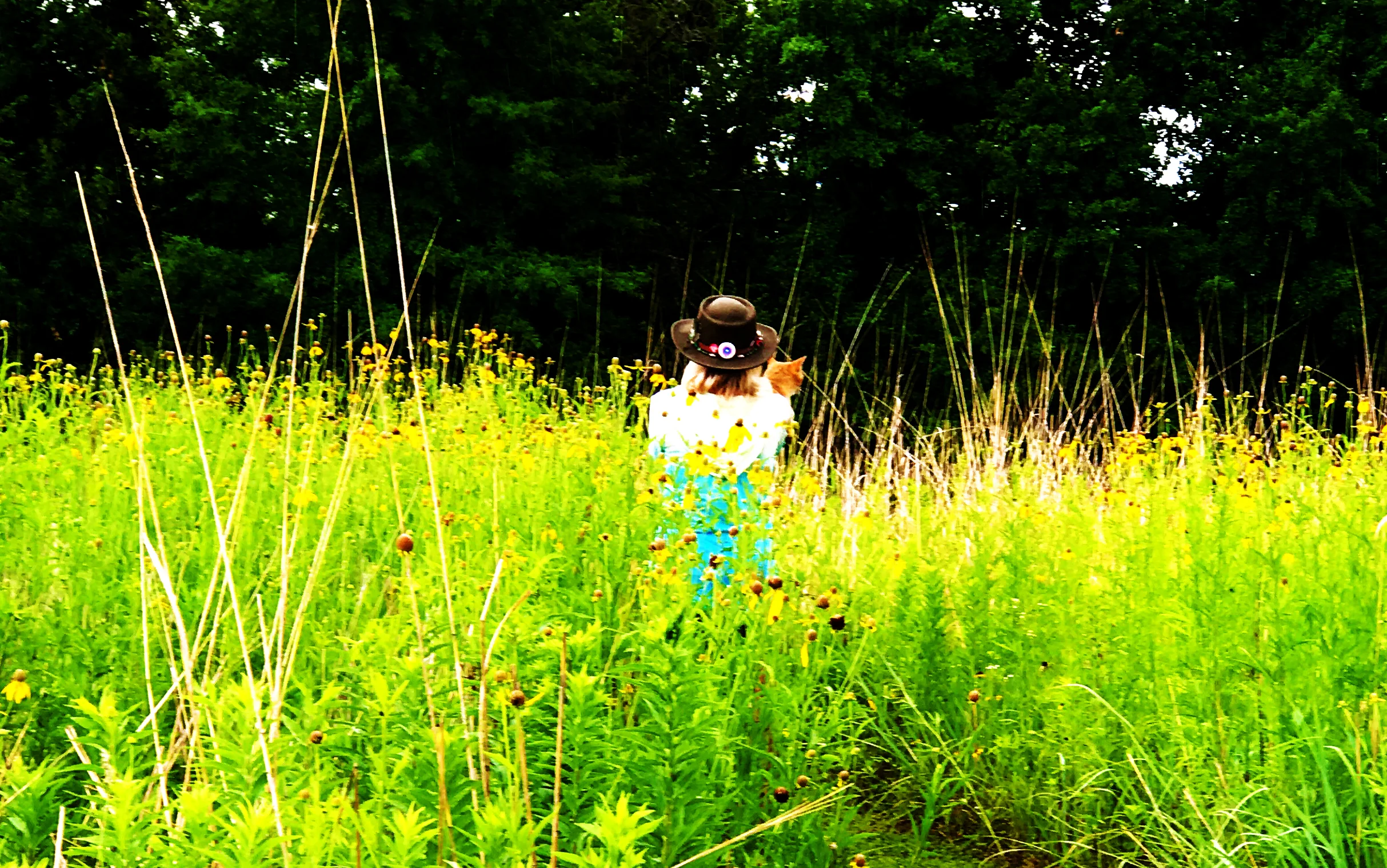 toby_in_the_flowers2.jpg